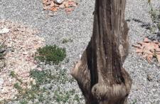 Mountain View Bungalows Dimilia - Foto 36