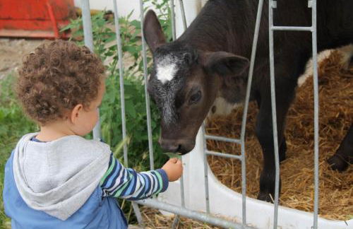 Spisserhof - Photo 36