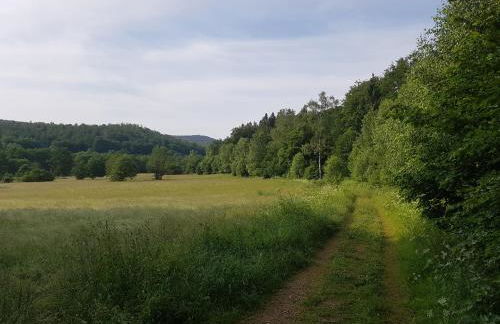 ferienwohnungen.ruhla - Foto 14