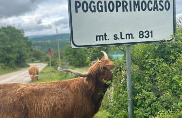 Da MammaMimma - Foto 24