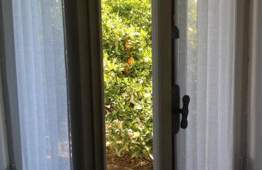 Aνεξάρτητη παραδοσιακή πέτρινη κατοικία - Foto 12