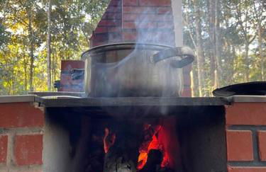 Bosque na Montanha Encantada - Foto 56