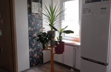 AGROTURYSTYKA Dom Mili - Foto 59