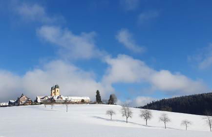 Landhaus-Apartment Feldbergblick - Foto 22