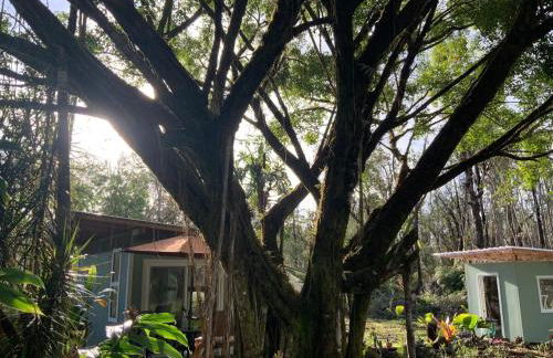 Majestic Banya tree cabin - Foto 20