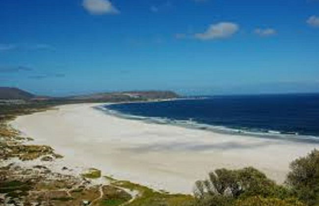 Bermuda Capri Cape Town - Foto 19