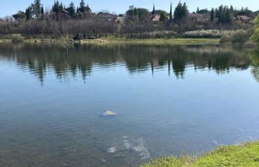 Los Cedros, gran chalet con piscina y apartamento en Navacerrada - Foto 46