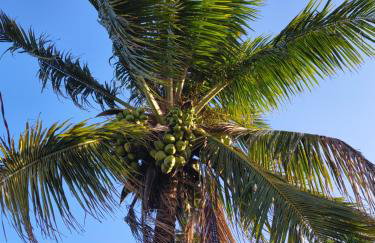 Casa completa com piscina perto da praia, garagem, aceita pet - Foto 20