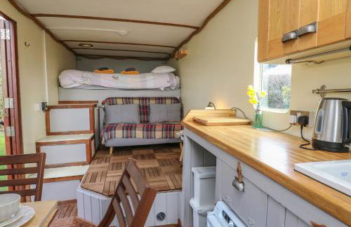 Sea the Stars - Photo 7