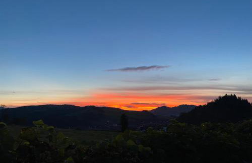 Apartament Pod Zamczyskiem - Photo 11