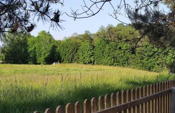 Zielony domek nad Marychą w Budwieć - Foto 17