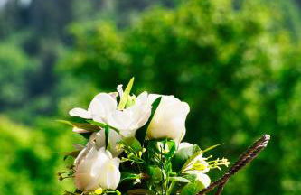 AntiquaeLunae Casali - Foto 68