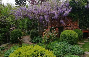 Haus Rosenbusch - Foto 4