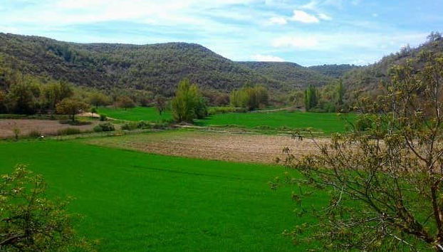 Tour in Brihuega - Photo 2