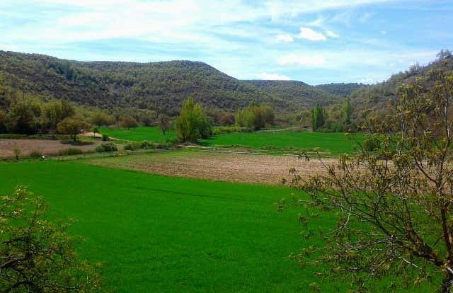 Tour in Brihuega - Photo 2