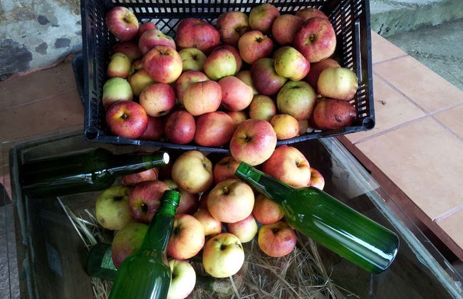 Visita al llagar de sidra del Mirador de Miranda - Photo 3