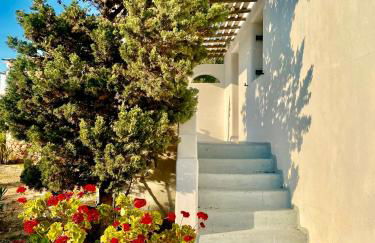 Iliovasilema Studios Koufonisi - Foto 48