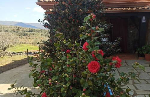 Casa Rural Los Olivos - Foto 18