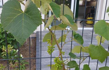 Willa Przygoda - Photo 16