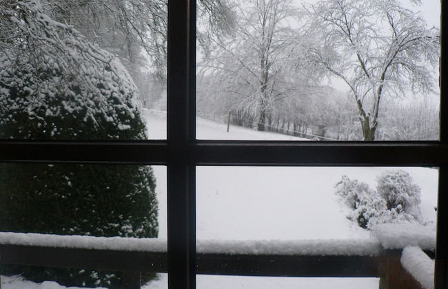 Forest Hideaway, Baillamont - Foto 31