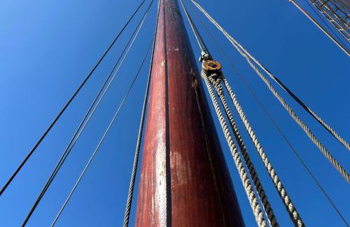 Hausboot Jonathan - Foto 16