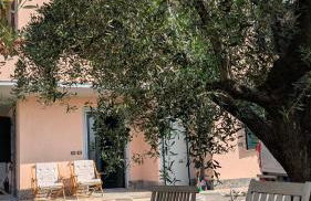 Colli di Luni - Foto 22