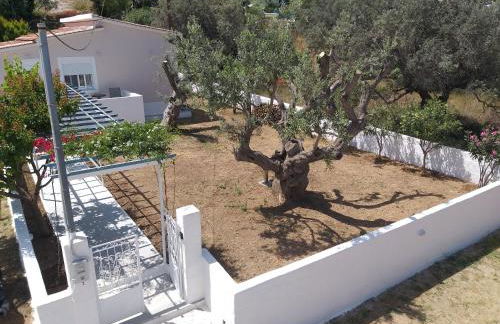 Skala Central House - Foto 26