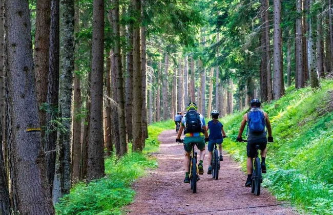 Holiday Home by Lake Rosnowskie With Boat - Photo 27