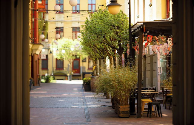 Piotrkowska 89 - Photo 27