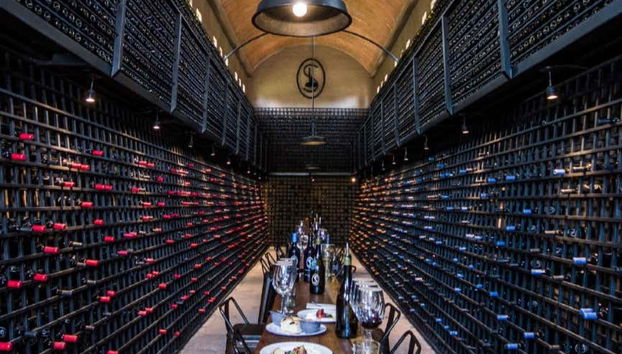 Enjoy an unforgettable wine tour