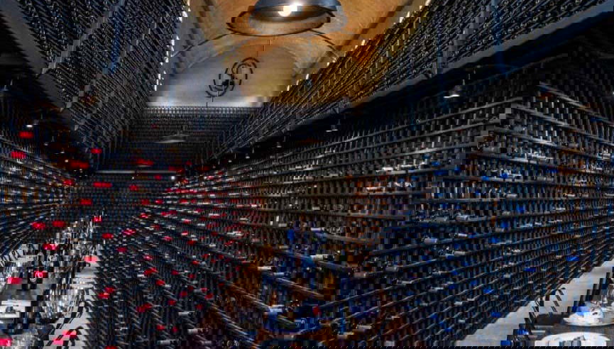 Disfrutaremos de un tour del vino inolvidable