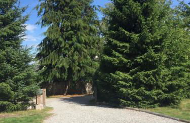 Ridgewood Apartment - Foto 9