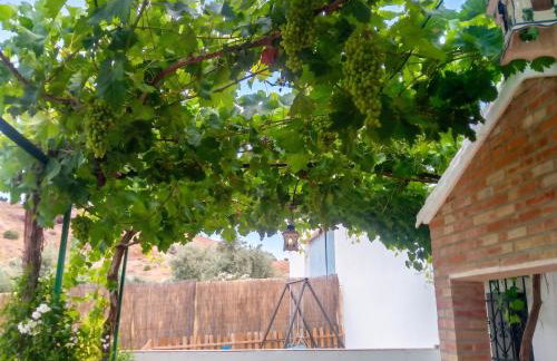 Charming House with Pool in Montilla - Foto 68