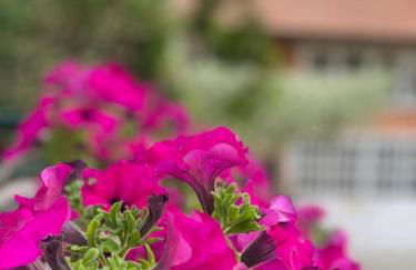 Grazioso monolocale - Photo 28