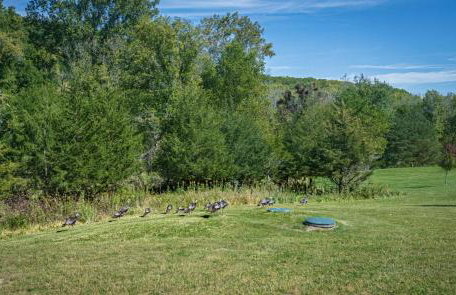 Hot Tub & Fire Pit - Galena Spring Escape - Foto 59