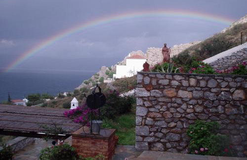 Hydra Erato - Foto 37