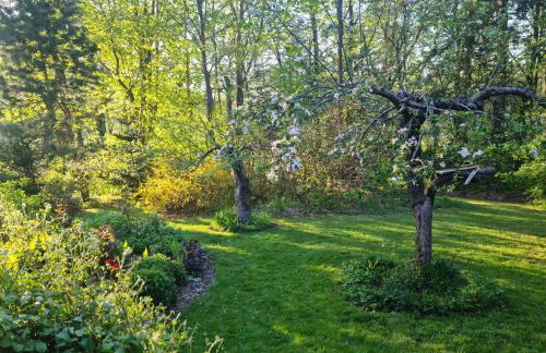 Siedlisko Dębinka - Foto 13