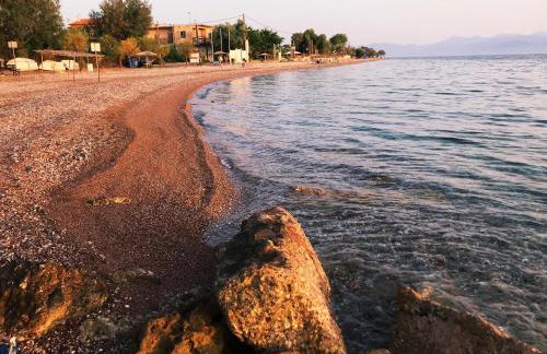 Seaside House - Foto 37