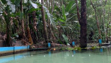 Sítio Rota Turistica COP30 - Photo 5