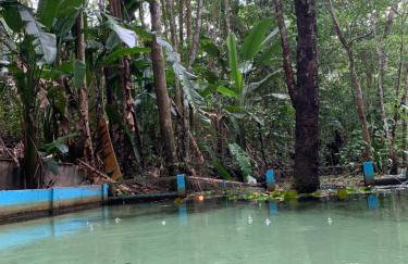 Sítio Rota Turistica COP30 - Photo 5