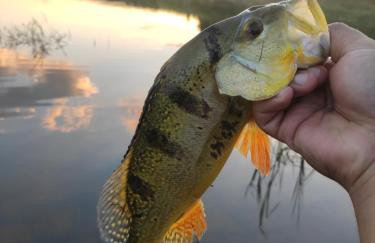 Minha Casa na Represa Riviera Santa Cristina II - Foto 36