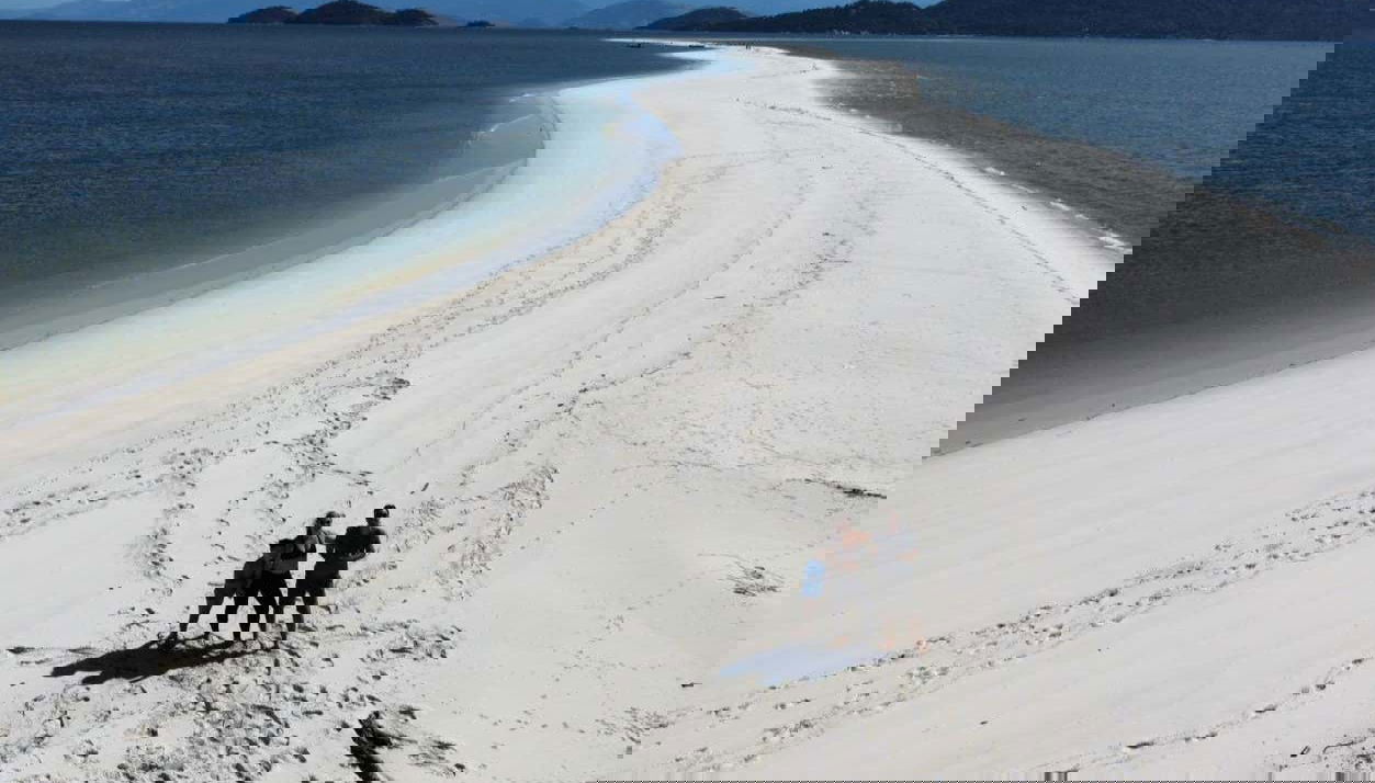 Observation de dauphins sur l'île de Marambaia - Photo 1