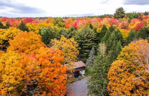 Woodpecker House - Mountain retreat with hot tub - 10 min to skiing in Hunter & Windham - Foto 28
