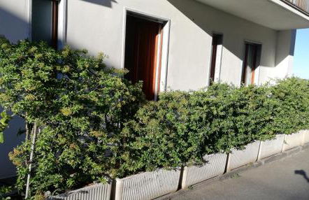 La Piazzetta - Foto 22