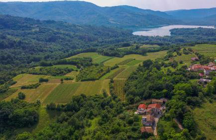 Holiday Home Grimalda - Photo 3