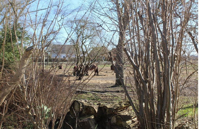Gemuetlicher Bungalow in Boergerende-rethwisch mit Sauna - Photo 67