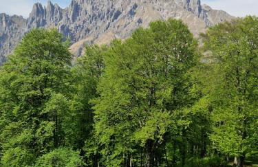 Tra Monti e Lago - Foto 43