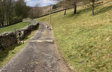 Our Holiday House Yorkshire , Bentham - Children and doggy friendly - Foto 23