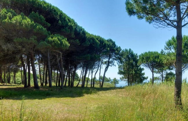 Holiday Home in Daverdisse With Garden - Photo 22