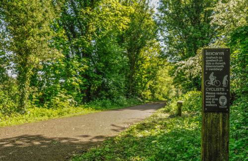 Black Cat Bach - Foto 38